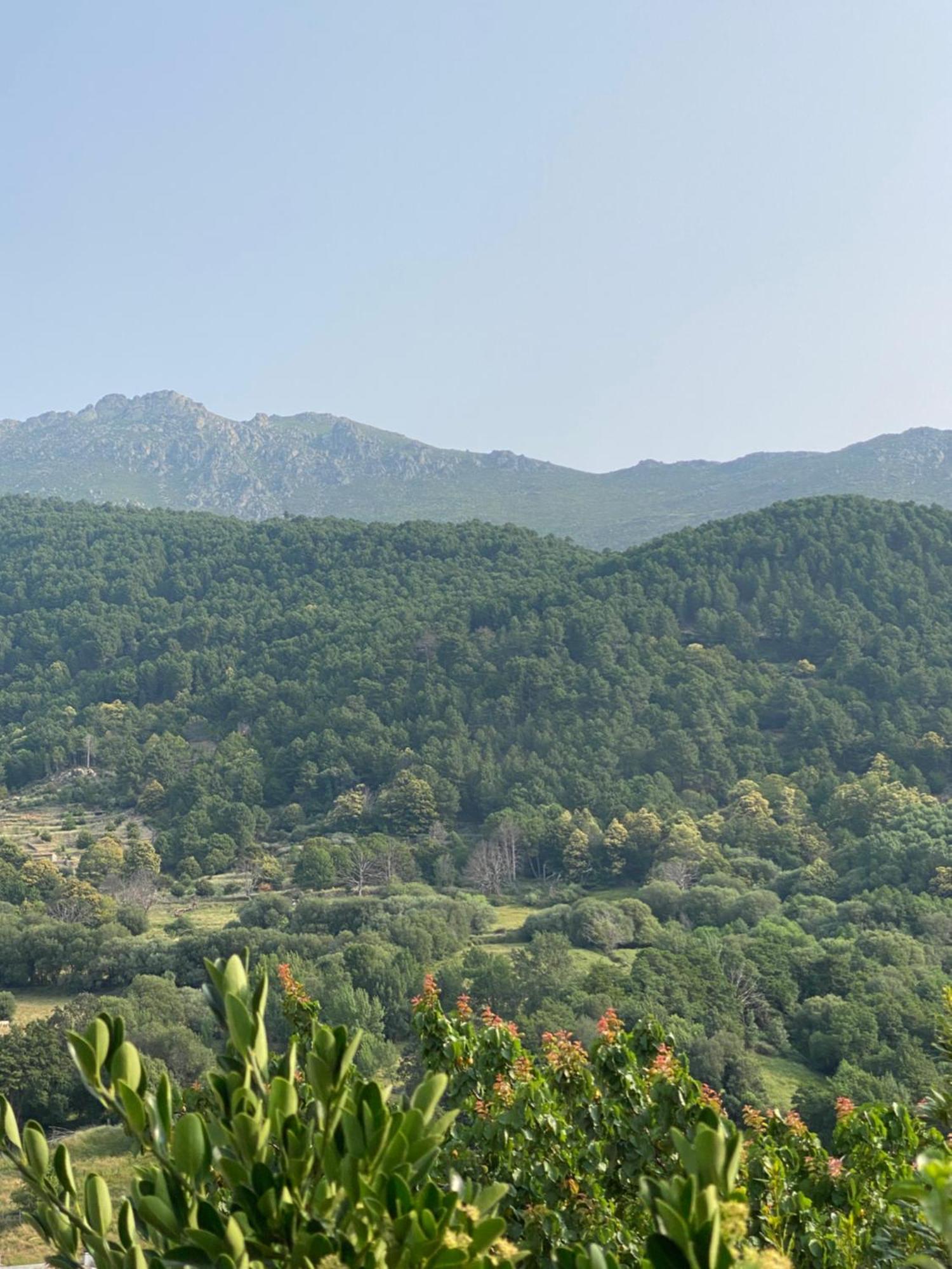 El 42 Mijares Villa Dış mekan fotoğraf